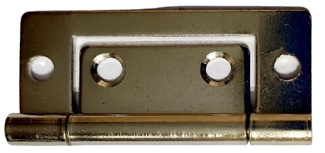 FLUSH HINGE